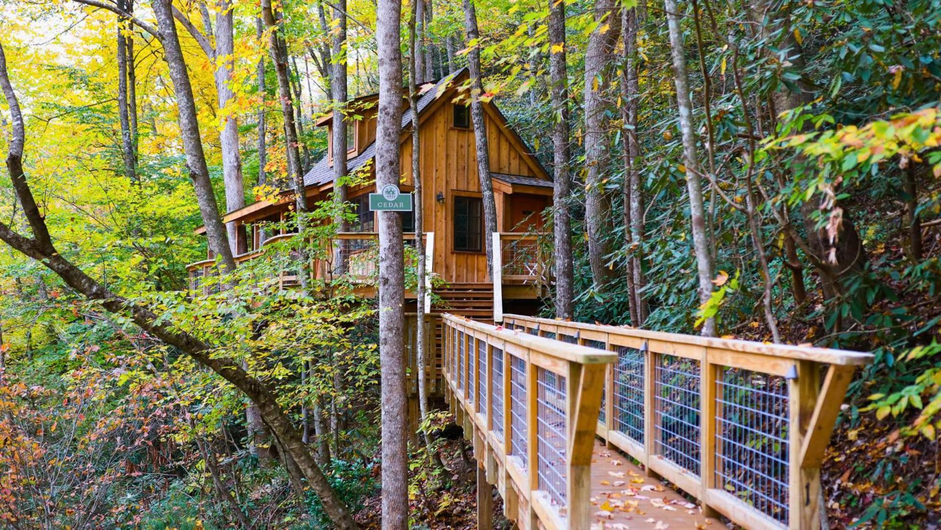 The Cedar In Treehouse Grove At Norton Creek Villa Gatlinburg Eksteriør bilde