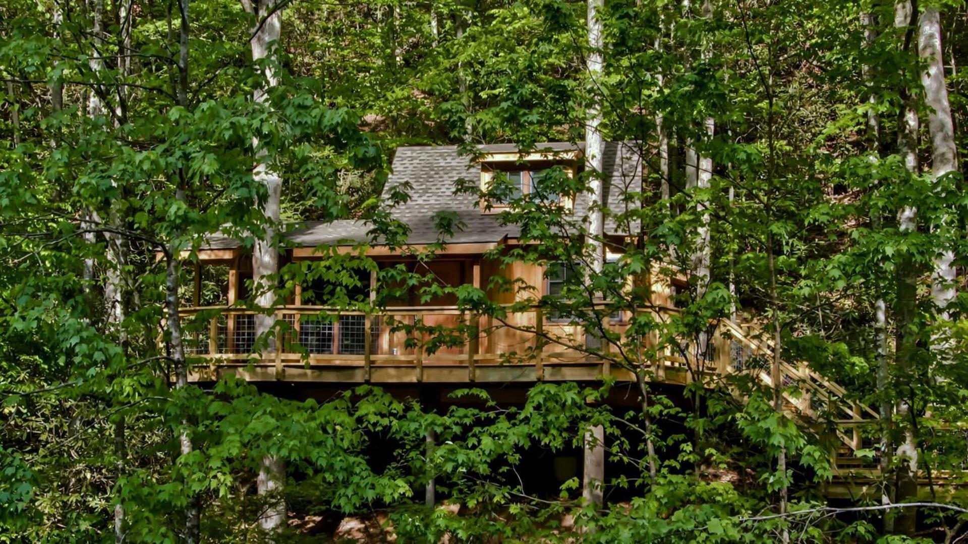 The Cedar In Treehouse Grove At Norton Creek Villa Gatlinburg Eksteriør bilde